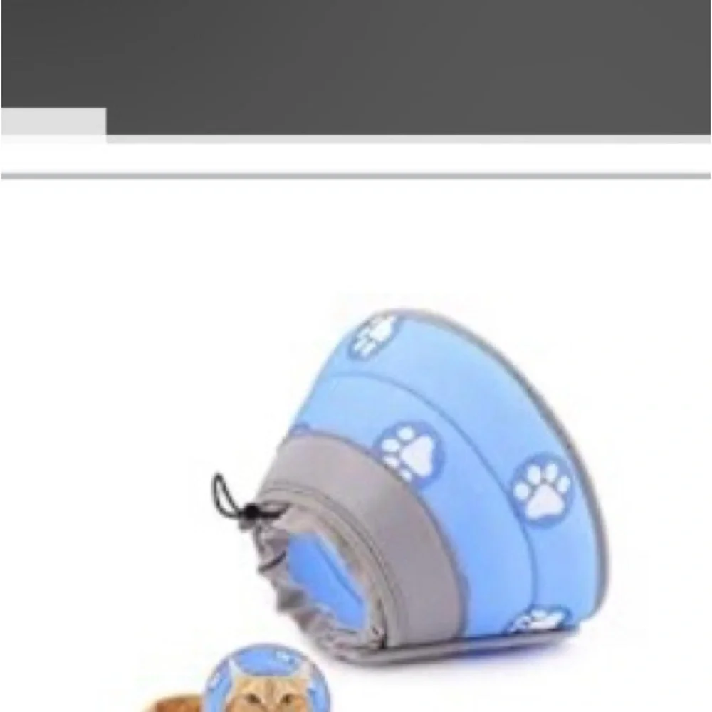 Brand new cat collar cone soft.